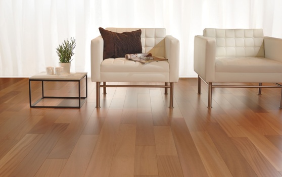 Living room with a natural Sapele hardwood floor.
